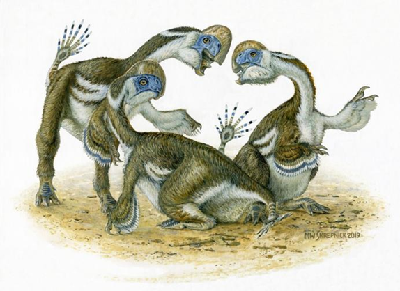دایناسور طوطی ماننداوکسکو آوارسان (Oksoko avarsan) 